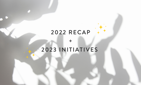 2022 Recap + 2023 Company Initatives