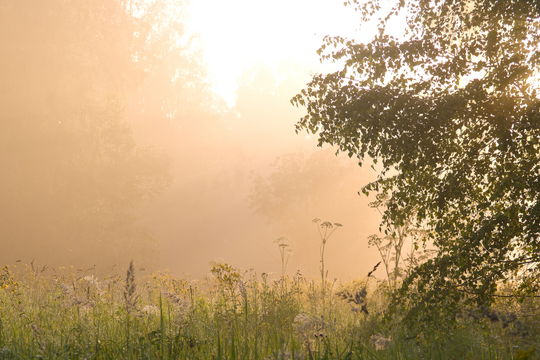 Why Natural Skincare is Better for the Earth — and You